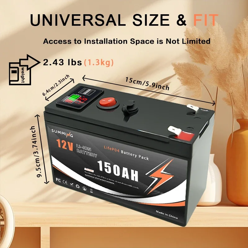 12V 150Ah Lithium  LiFeP04 Bat - Fish Finder Charger reseña y precio