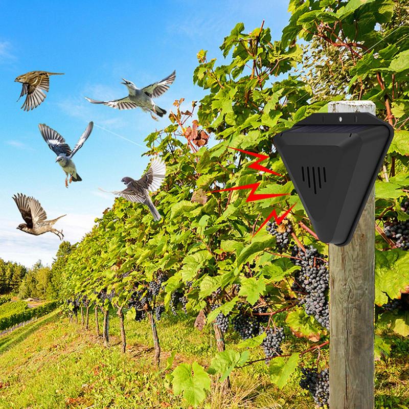 Waterproof Solar bird repeller - Fish Alarm reseña y precio